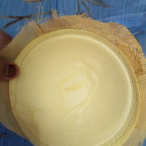 Round Blouse Pads Cup