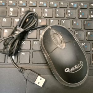 Mouse, USB Mouse