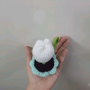 Cute Crochet Mini Flower Pot🌷