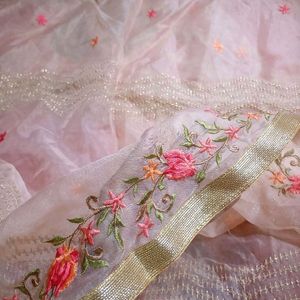 Organza Dupatta with silk embroidery