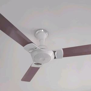 New Ottomate Bldc With Remote Speed Fan Pink