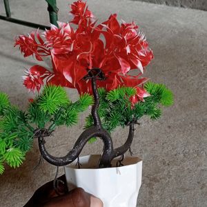 FLOWER POT