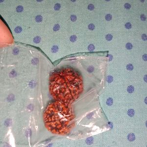 Two Original Rudraksha For Women And Men Both