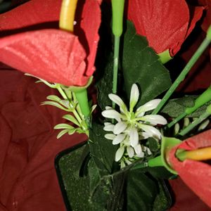 Artificial Anthurium Red Flower With Pot