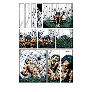 Spider-Man: Kraven's Last Hunt (Comic Book)