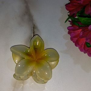 Trendy Flower Clips