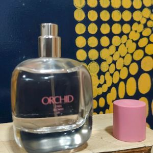 Zara Perfume orchid