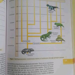 NCERT Class12 Physics,Chemistry & Biology