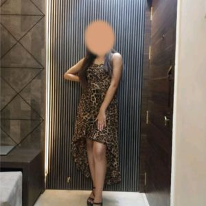 Leopard Print High Low Dress