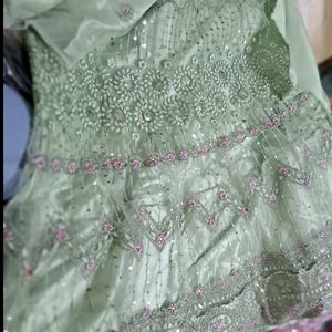 Pista Colour Lehenga Choli