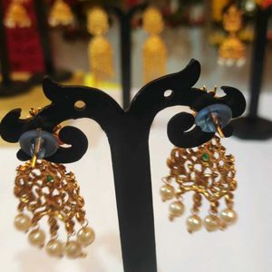 Peacock🦚 Earrings for Women