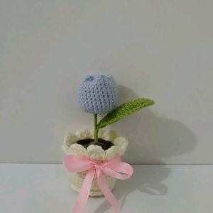 Crochet Tulip Pot 🌷