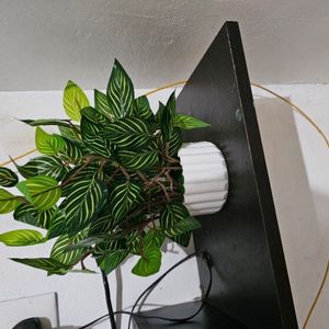 New Artificial Croton Plants With Pot ❤️