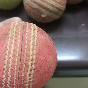 Sg Professional Cricket Ball