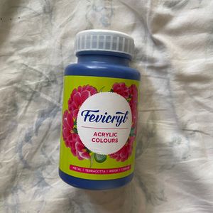 Fevicryl Acrylic Paint