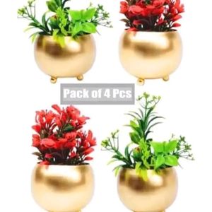 Flower Pots