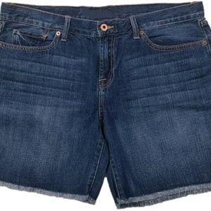 American Eagle Outfitters Shorts