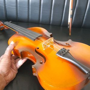 🎻 Violin