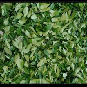 Curry Leaves Dried