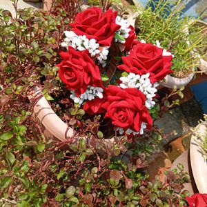 Red Roses Hand Gajrey