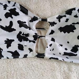 40U. CUTE BLACK AND WHITE TUBE