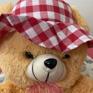 Teddy Bear Soft Toy