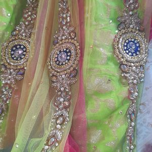 Parrot Green Lehnga Choli