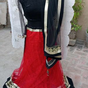 Net Lehnga Choli