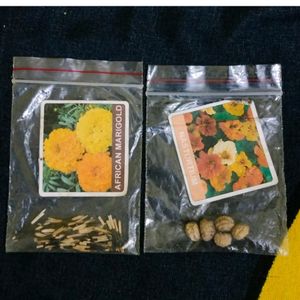 Summer Flower Seeds