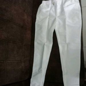 Shervani Pant