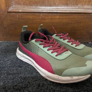 Orignal Puma Running And Sports Shoes