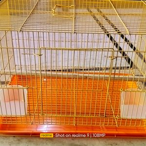 Folding Cage Pijara