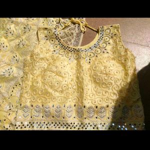 Embroidered Lehenga Choli