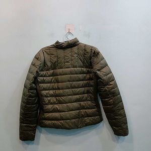 🇹🇷 Zara Imported Puffer Jacket