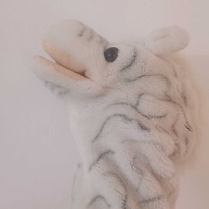 Hand Wearing Soft Toy Mimicking