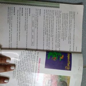 Class 11 Ncert English Book Combo