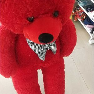 Red Teddy