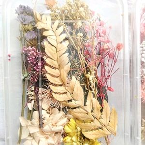 Pressed Flowers