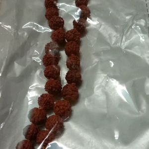 Rudraksha Mala