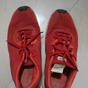 Good Condition Sports Shoes