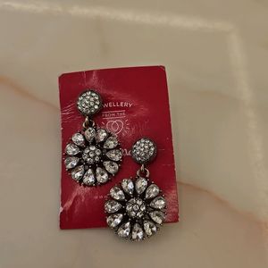 Unused Earrings 6 No.s