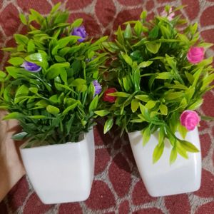 Beutyfull 😍 Artificial Flower Plant