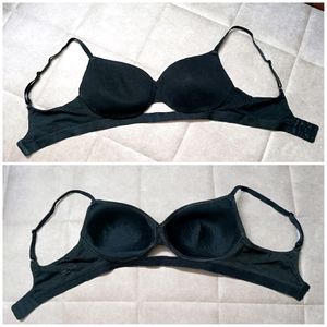 Padded Bras Combo (Enamor)