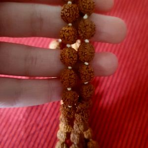 RUDRAKSH MALA 108 BEADS