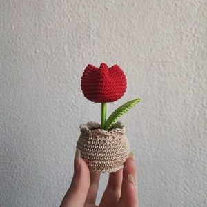 Crochet Flower Pots