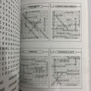 Word Search Book