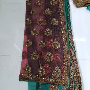 Beautiful Fish Cut Lehnga Saaree