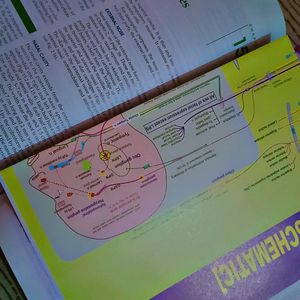 BD Chaurasia's Human Anatomy Volume 3