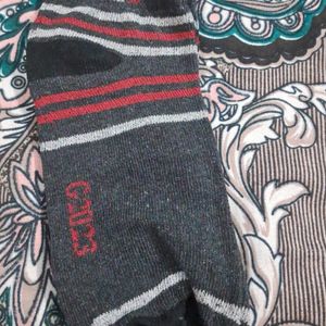 Ankle Length  Socks Combo Of 5 Pairs