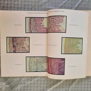 An Atlas of Histology- Freeman & Brian Bracegirdle